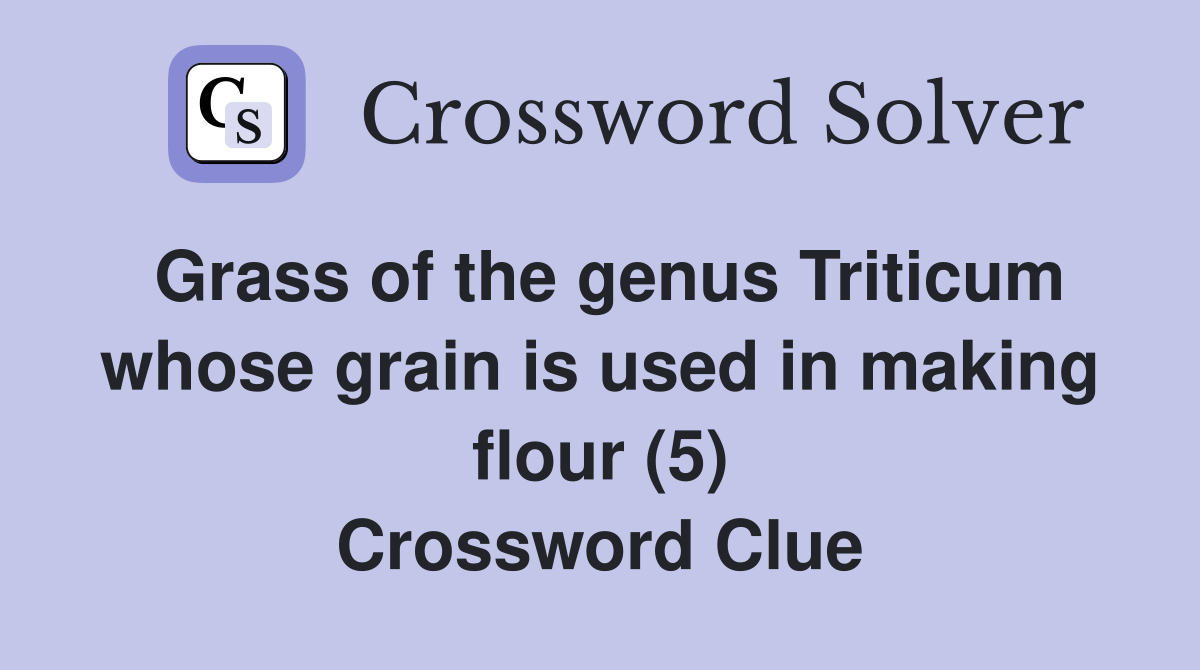 Grass of the genus Triticum whose grain is used in making flour (5